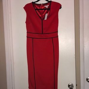 Brand New NY & Company Dress
